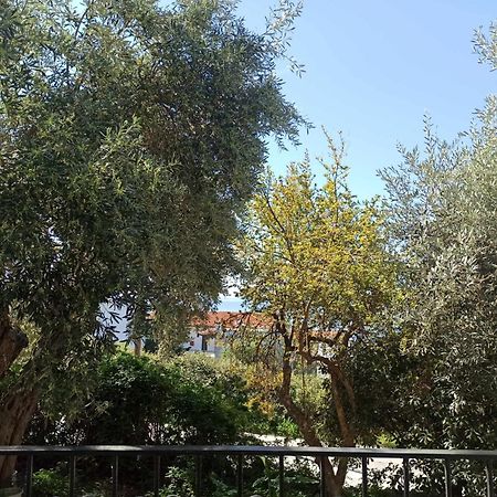 Greekowl Apartments Skiathos by Eksteriør billede