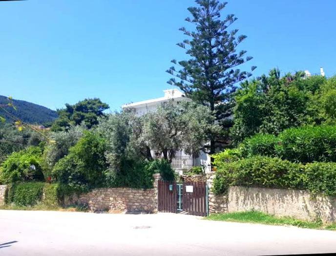 Greekowl Apartments Skiathos by Værelse billede